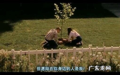 什么英文翻译成中文最好 有哪些英文翻译成中文特别美?