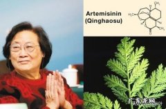 以现在最高科技，有没有能够测出莲花清瘟的全部成分的机器？