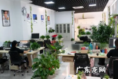 淘宝品牌不一致是系统检测吗？如何申诉？