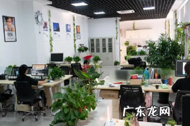 淘宝品牌不一致是系统检测吗?如何申诉?