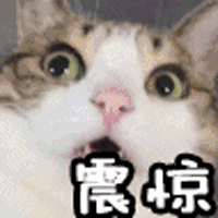 海米粉丝西兰花汤这么做？