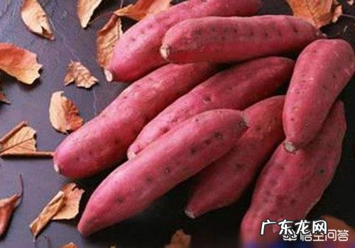 红薯干变色了还能吃吗 生红薯干在晒的过程中变黑了,不是长毛,还能吃吗?