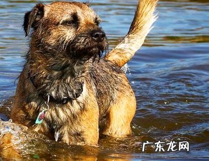 一向打喷嚏怎么办