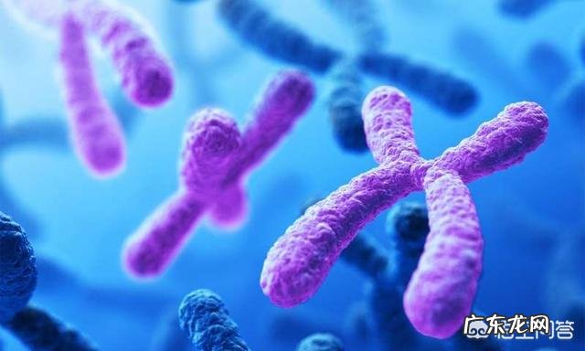 染色体异常会对健康造成什么影响？