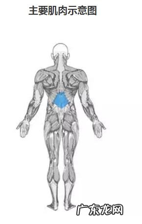 钻石俯卧撑,练臂围最好的徒手动作,为何很多人连十个都做不了?