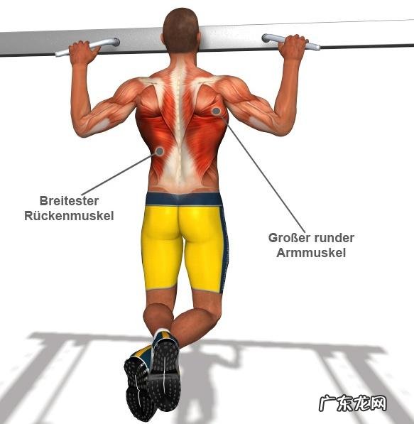 钻石俯卧撑,练臂围最好的徒手动作,为何很多人连十个都做不了?