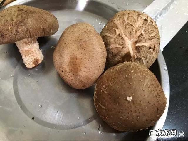 香菇口蘑蘑菇做菜 香菇和蘑菇有什么区别？营养价值有什么不同？