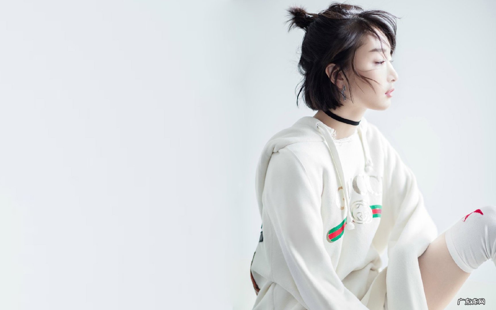 不同的动物为什么活动的时间不同呢?