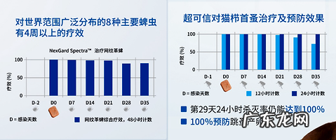 多维度帮你剖析 超可信表里同驱牢靠吗?