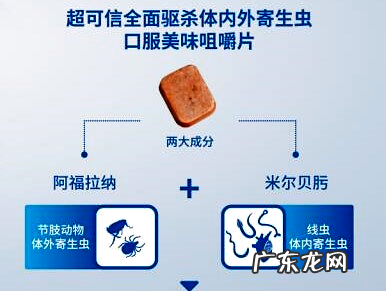 多维度帮你剖析 超可信表里同驱牢靠吗?