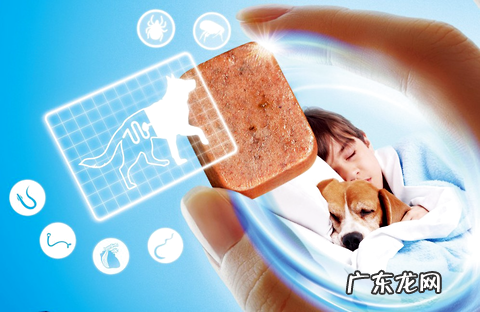 多维度帮你剖析 超可信表里同驱牢靠吗?