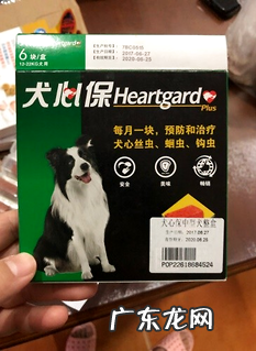 狗狗驱虫方法,你或许还不知道