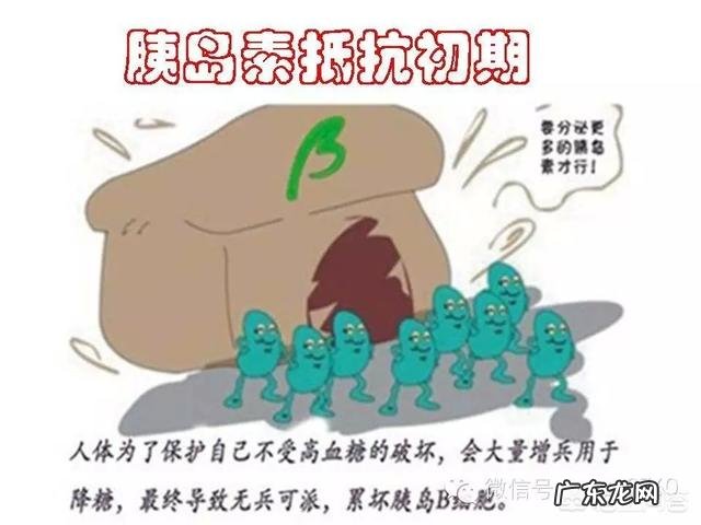 胰岛素分泌多怎么调理 胰岛素分泌增多是怎么回事,如何调理?