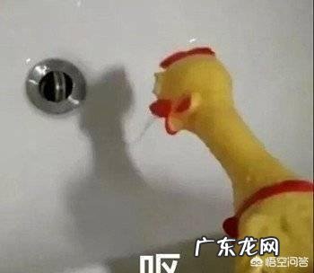 自己晒吃药的幽默文案 关于吃药的幽默句子50句？