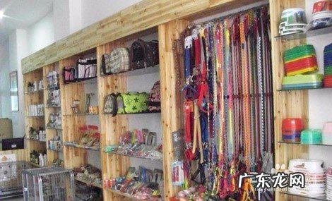 年轻人创业项目排行榜 适合年轻人的创业项目有哪些