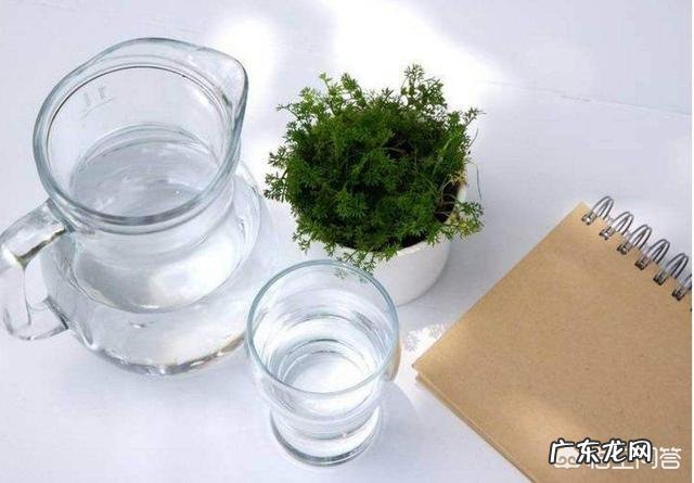 早起最聪明的锻炼方法 如果早晨要锻炼,早起的时候喝多少水合适?