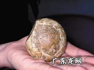 柿饼可以多吃吗?哪些人不适合吃柿饼?