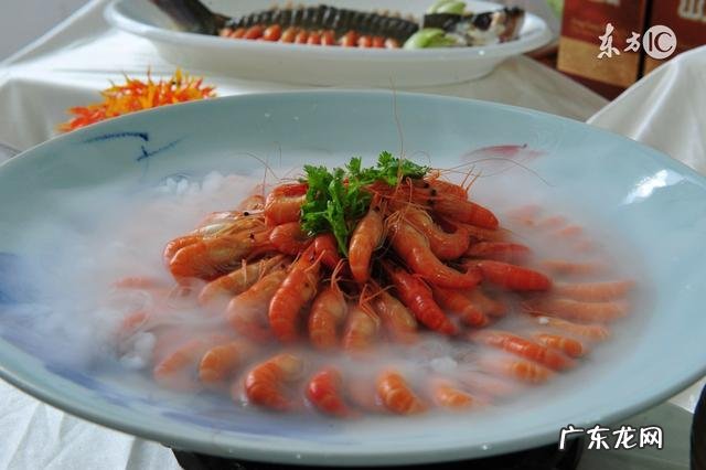 经常加班加点,免疫力下降,容易生病,喝汤臣倍健蛋白粉适合吗?