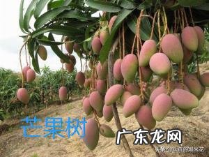 学生有什么好的护肤品、化妆品推荐吗?