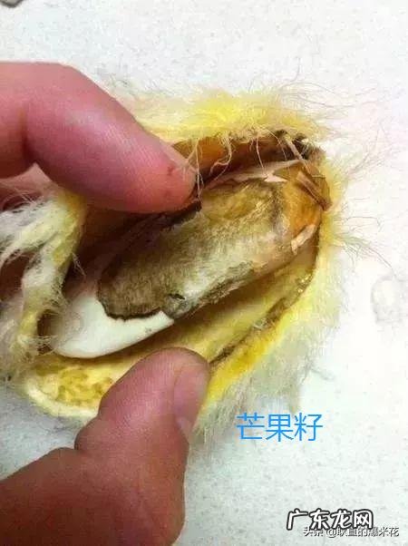 学生有什么好的护肤品、化妆品推荐吗?