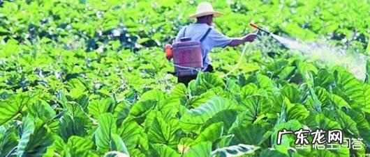 人有多种疾病,是吃出来的吗?