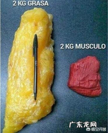 女,腰细人胖,和腰细人细,到底哪种更美?