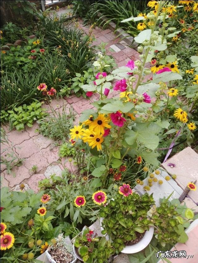 为什么现在人人都爱美了?