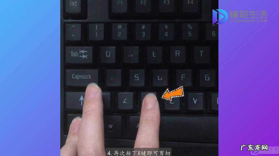 怎么在电脑上剪切图片? 电脑剪切快捷键ctrl加什么