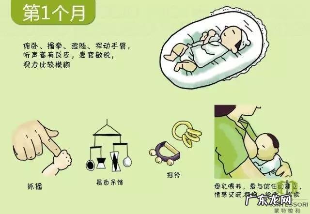 不同时期的宝宝身体发育指标是什么?