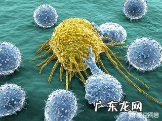 如何判断舌头健康状况 如何根据舌头辨别自己健康情况，该如何条理身体？