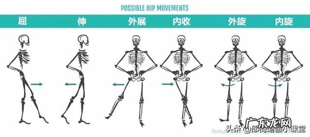 十天内,怎样快速压一字马?