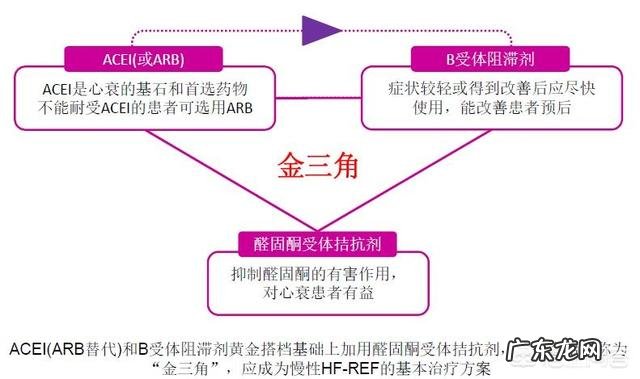午餐之前可以吃碧生源奥利司他吗?