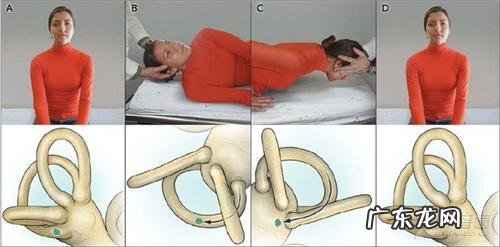 耳石症是怎么得的怎么zhi疗 耳硬化症和耳石症的区别是什么?