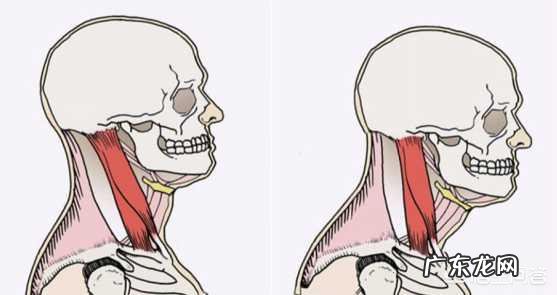 女性好看的下颌线 女生好看的下颌线是怎么样的?