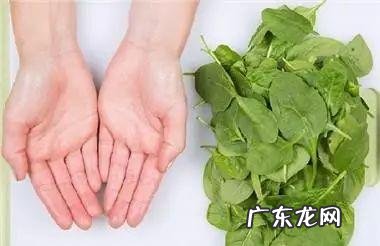 除了挨饿，都有哪些主要的减肥方法？效果如何？