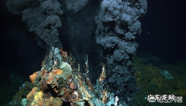 食物加热消毒杀菌后,死了的细菌变成了什么