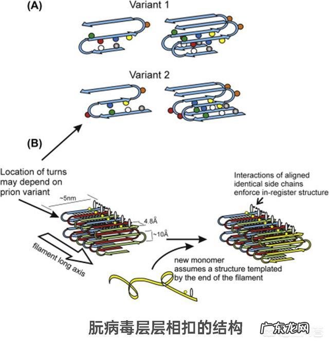 食物加热消毒杀菌后,死了的细菌变成了什么