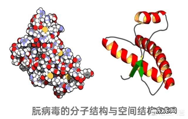 食物加热消毒杀菌后,死了的细菌变成了什么