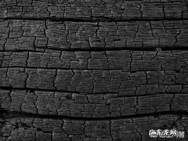 食物加热消毒杀菌后,死了的细菌变成了什么