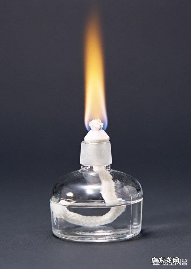 食物加热消毒杀菌后,死了的细菌变成了什么