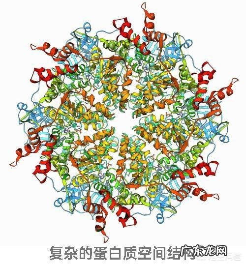 食物加热消毒杀菌后，死了的细菌变成了什么