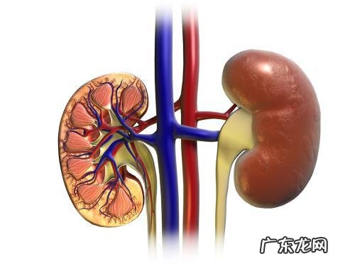 为什么宝宝在出生后就要补充维生素D?