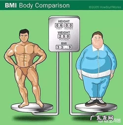 增肌是不是在减脂之后进行的?增肌和减脂的锻炼方法有区别吗？