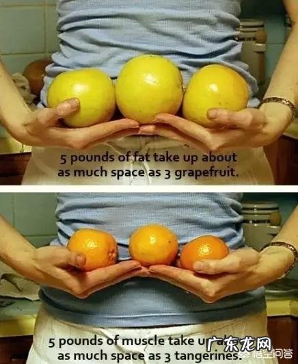 增肌是不是在减脂之后进行的?增肌和减脂的锻炼方法有区别吗？