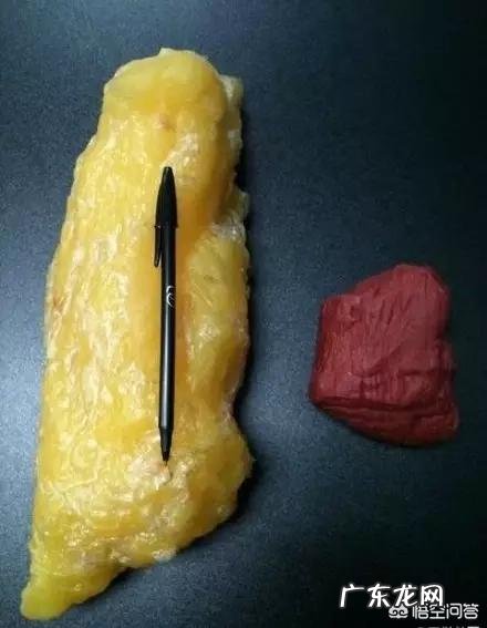 增肌是不是在减脂之后进行的?增肌和减脂的锻炼方法有区别吗？