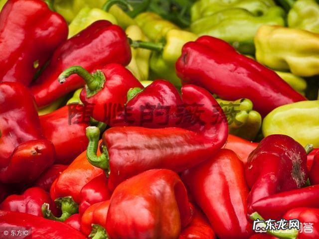 吃什么食物可以提高基础代谢?