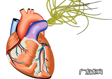 超可信驱虫药为何深受铲屎官欢迎？