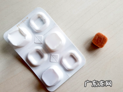 狗狗驱虫多久一次才适宜？养狗新手必看