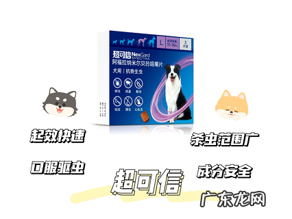 良知测评！狗狗驱虫药引荐