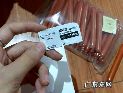 狗身上的跳蚤怎样去除 把握正确的除蚤办法~